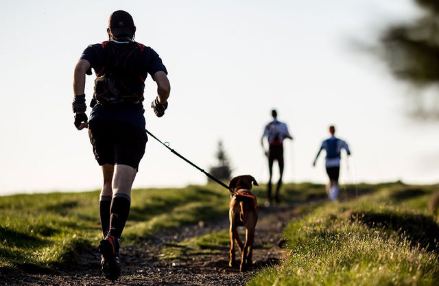 6 Ways To Spend Your Active Rest Day