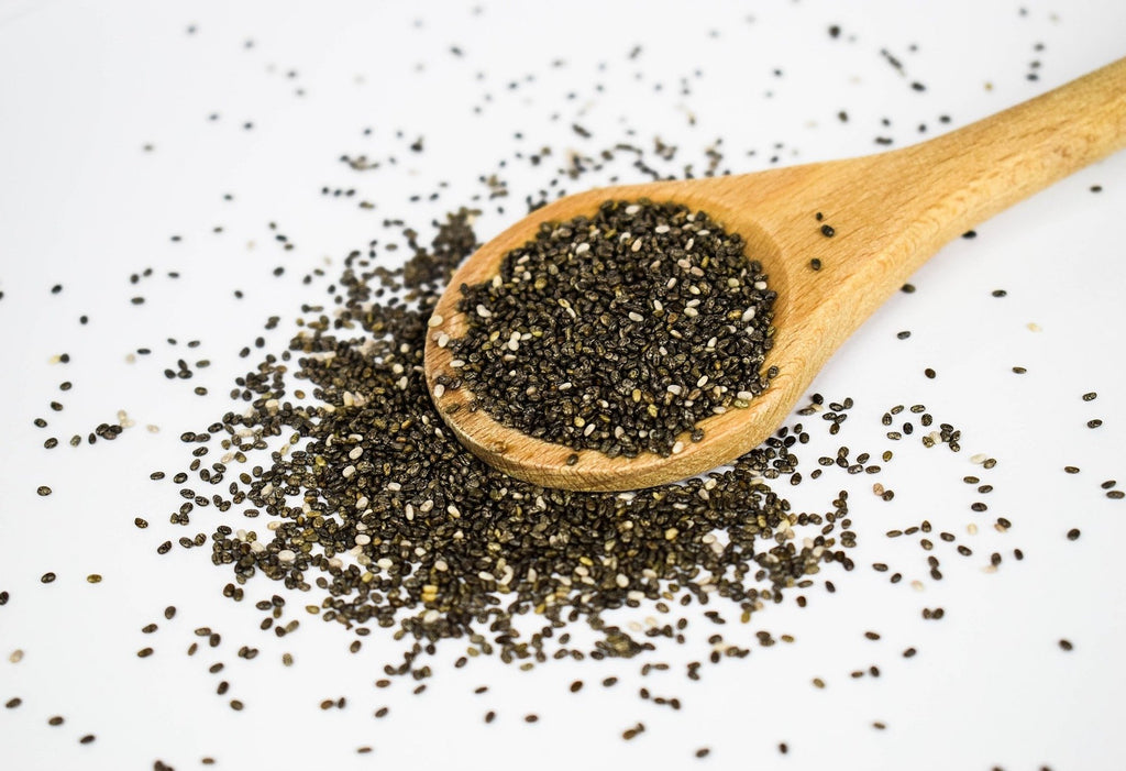 Chia Plant Seeds, Bulk Chia Seeds