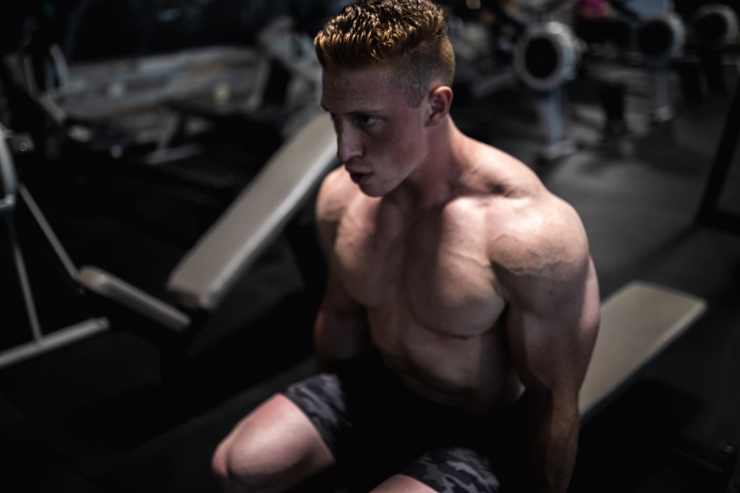 Proviron vs Andriol: Which Anabolic Solution Reigns Supreme for Your Fitness Goals?