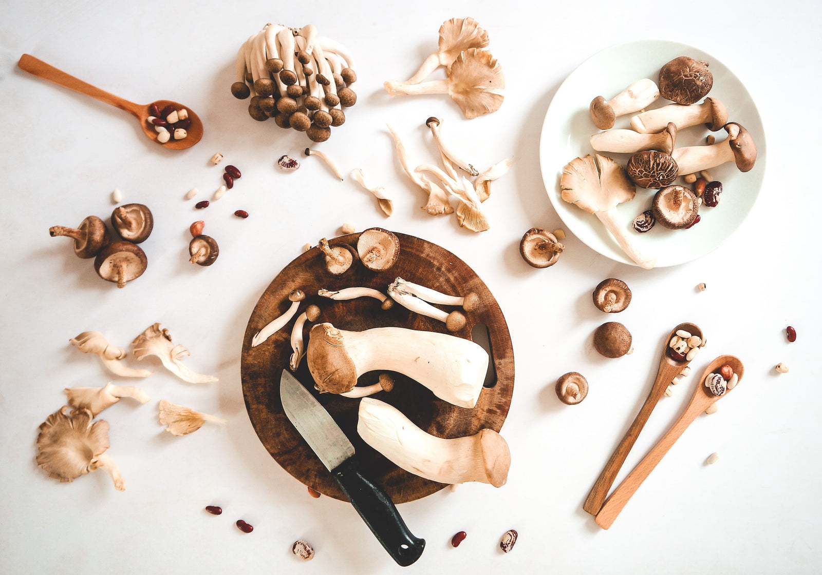 4 Promising Reishi Mushroom Benefits On Health
