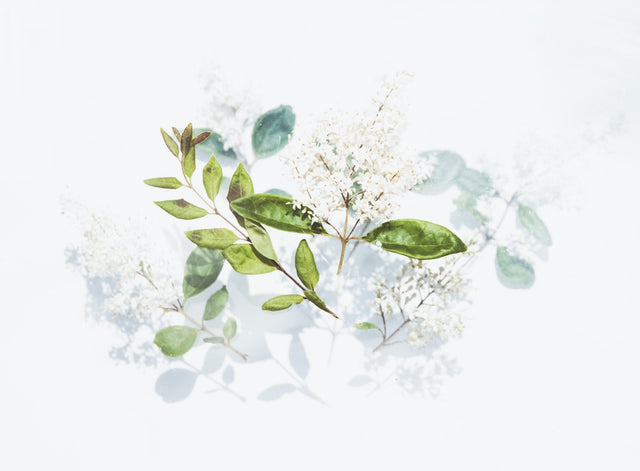 The Effects Of Rhodiola Rosea on Exercise Endurance Capacity