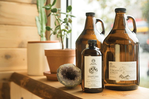 the best strains of probiotics