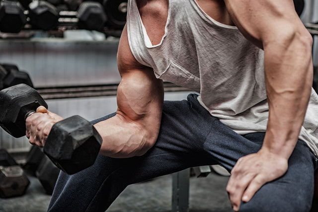 The Vertical Diet - Swolverine