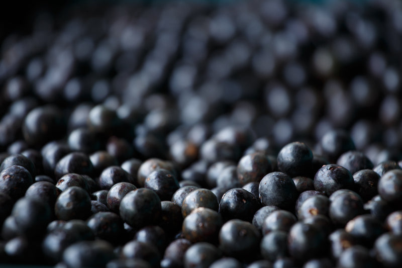 3 Acai Berry Benefits You Won't Want To Miss