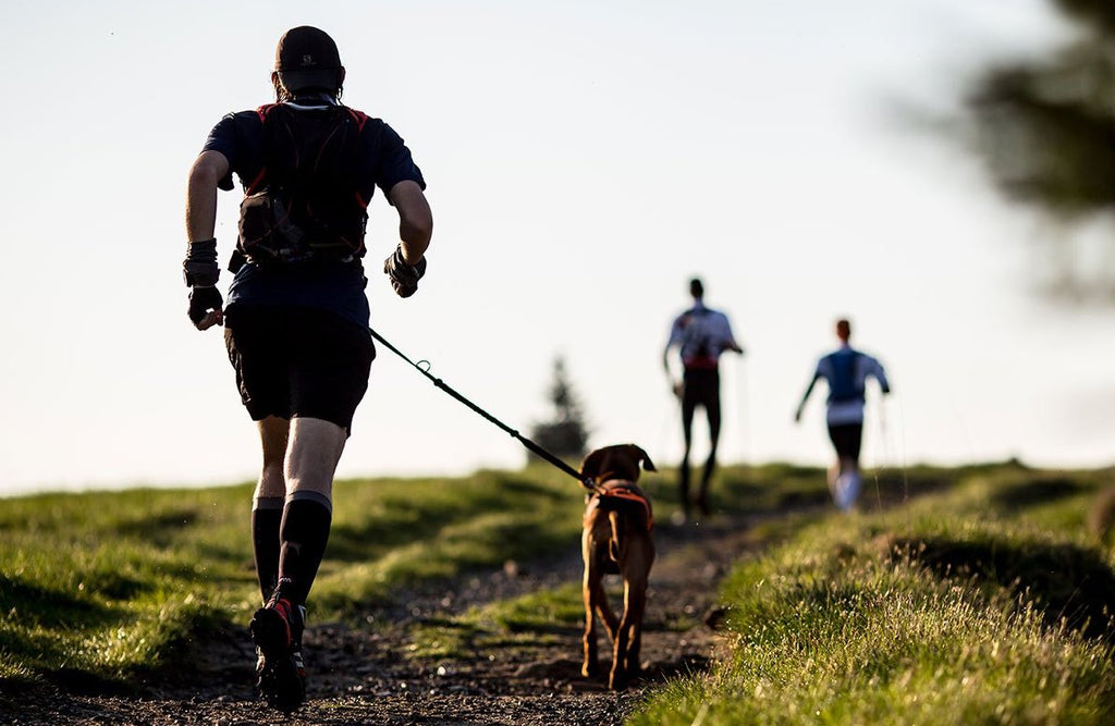 6 Ways To Spend Your Active Rest Day