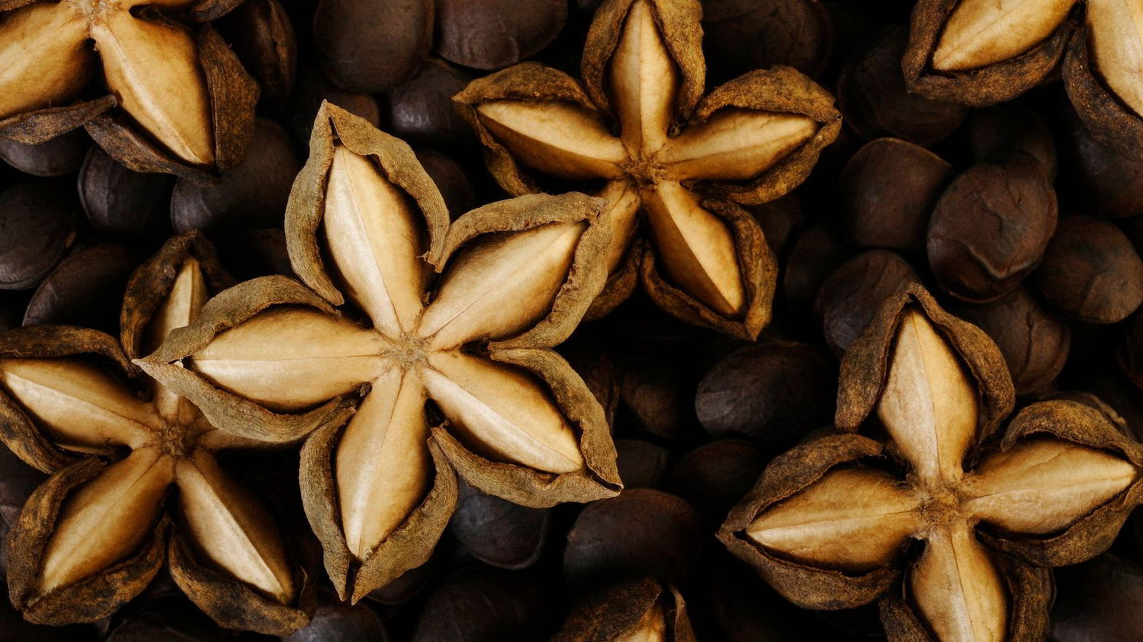 Benefits of sacha inchi