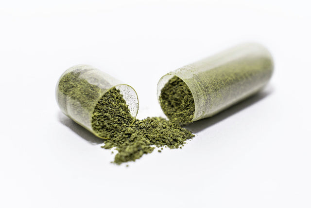 CoQ10 vs Quercetin: What’s the Difference, and Should You Take Both?