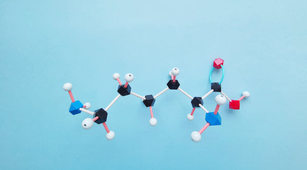 D-Aspartic Acid: Does It Really Work