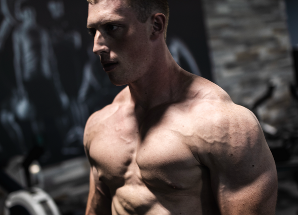 DHEA vs Testosterone: Natural vs Synthetic Hormonal Support