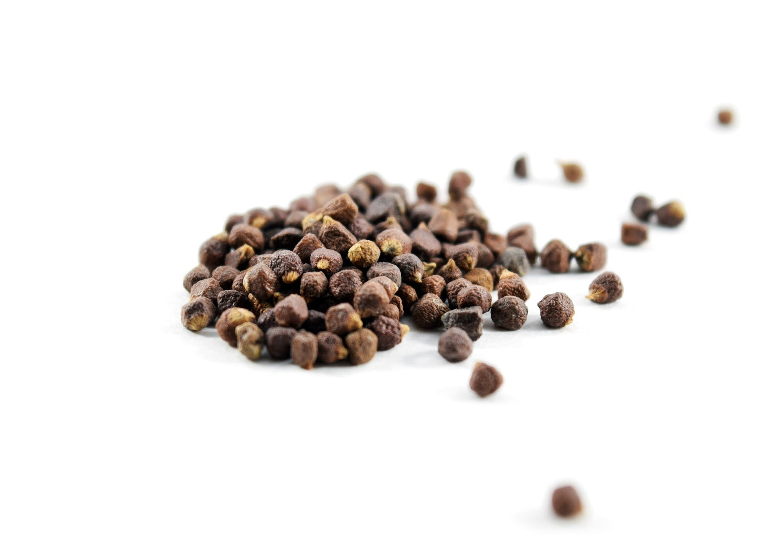 The Complete Guide to Grains of Paradise (Paradoxine): What It Is, How It Works, and Fat Loss Potential