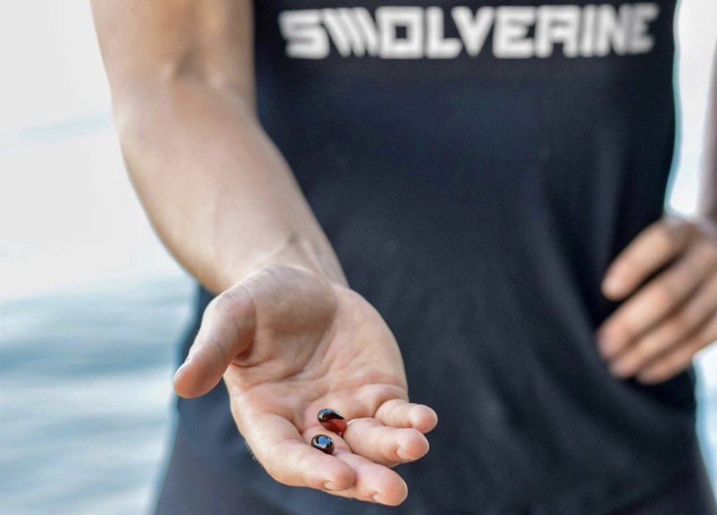 The Effects of Krill Oil on mTOR Signaling and Resistance Exercise: A Pilot Study