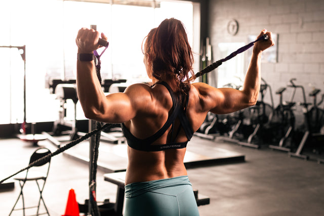 muscle building workout