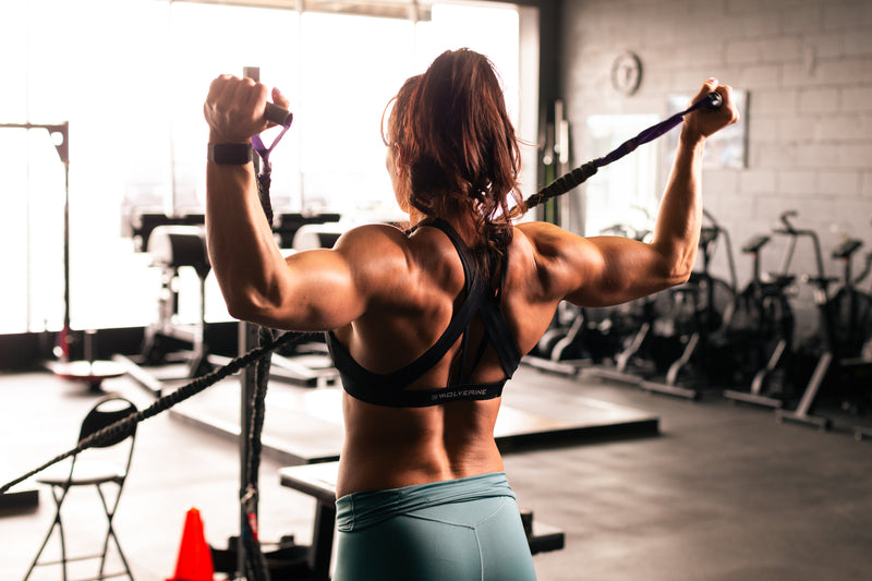 8 Week Muscle Building Program 8-Week Mass-Building Program | 8-Week Bodybuilding Program