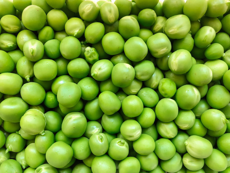 4 Reasons You Should Consider Pea Protein