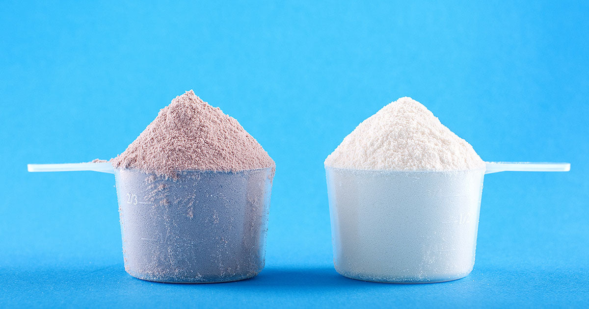 plant protein vs animal protein