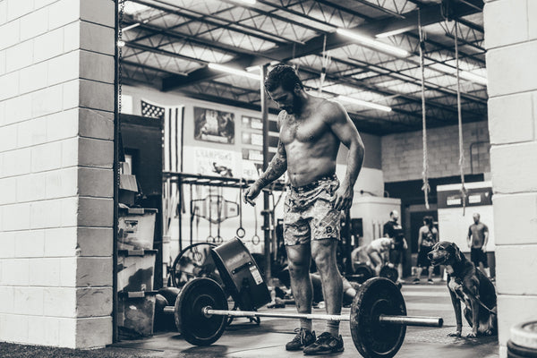 The Ultimate Guide To Push Pull Legs Workout Split: Benefits, Best PPL Exercises, And How To Program