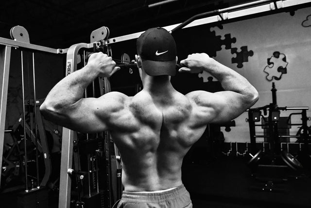 RAD-140 Side Effects: Risks, Suppression, Liver Stress, and Long-Term Concerns