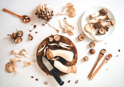 4 Promising Reishi Mushroom Benefits On Health