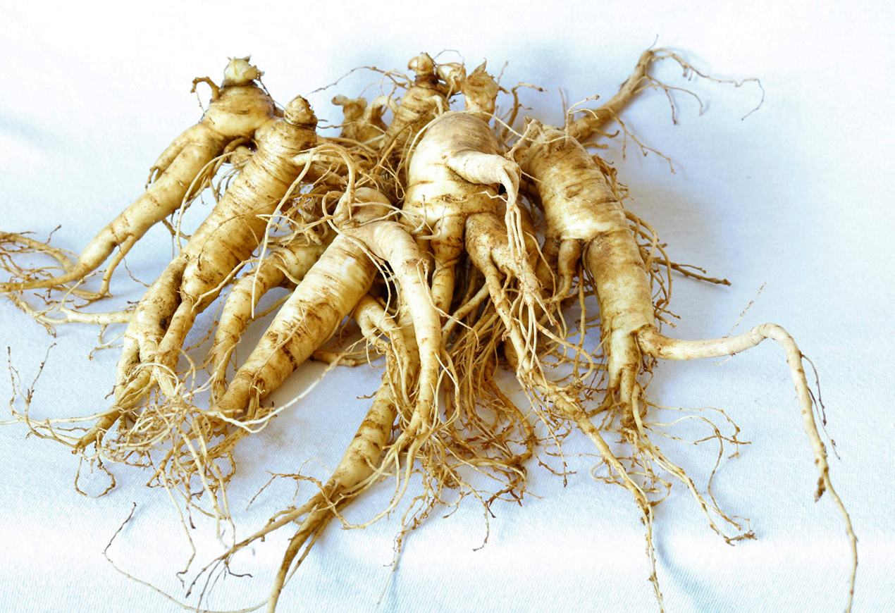 American Ginseng: Benefits, How It Works, Dosage, and Comparison to Other Ginsengs
