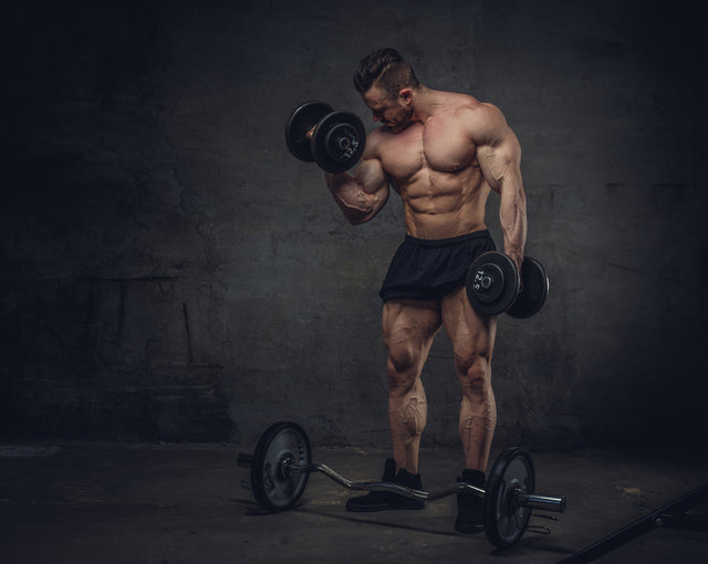 should i bulk or cut - swolverine