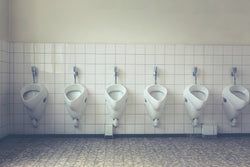 The Effects Of Probiotics On Bowel Movements