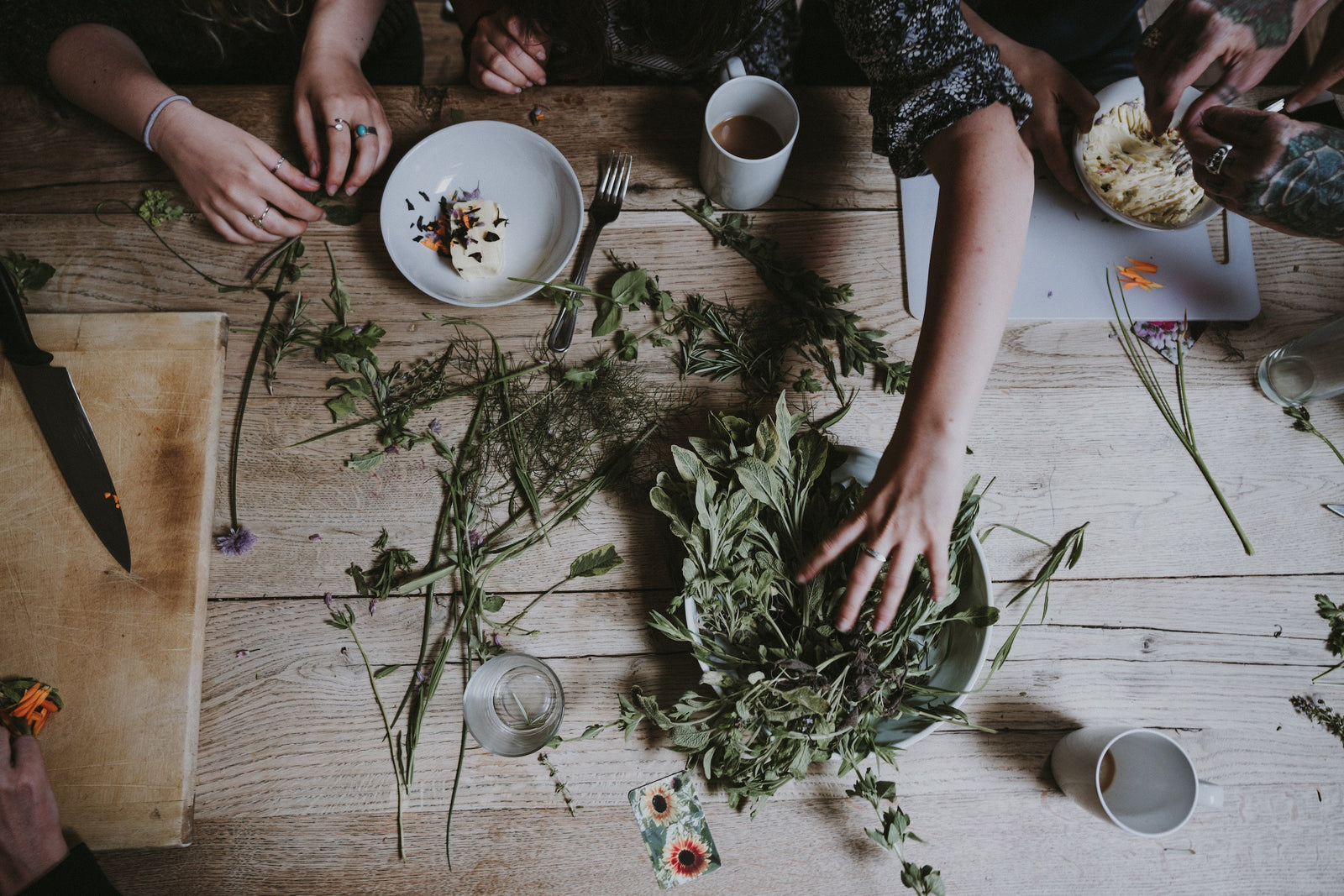 What Are Adaptogens?