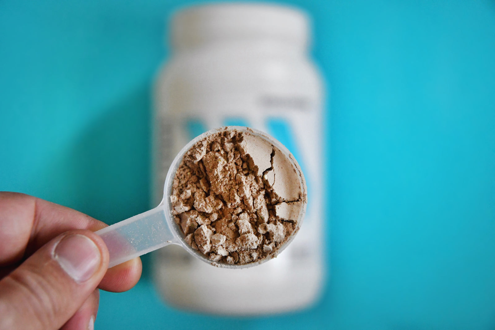 what is plant based protein
