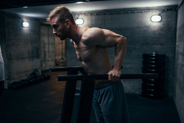 What Muscles Do Dips Work