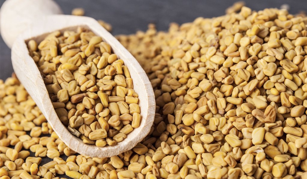 what does fenugreek do?