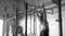 Unlock Your Strength: Discover Which Muscles Chin-Ups Target for Maximum Gains!