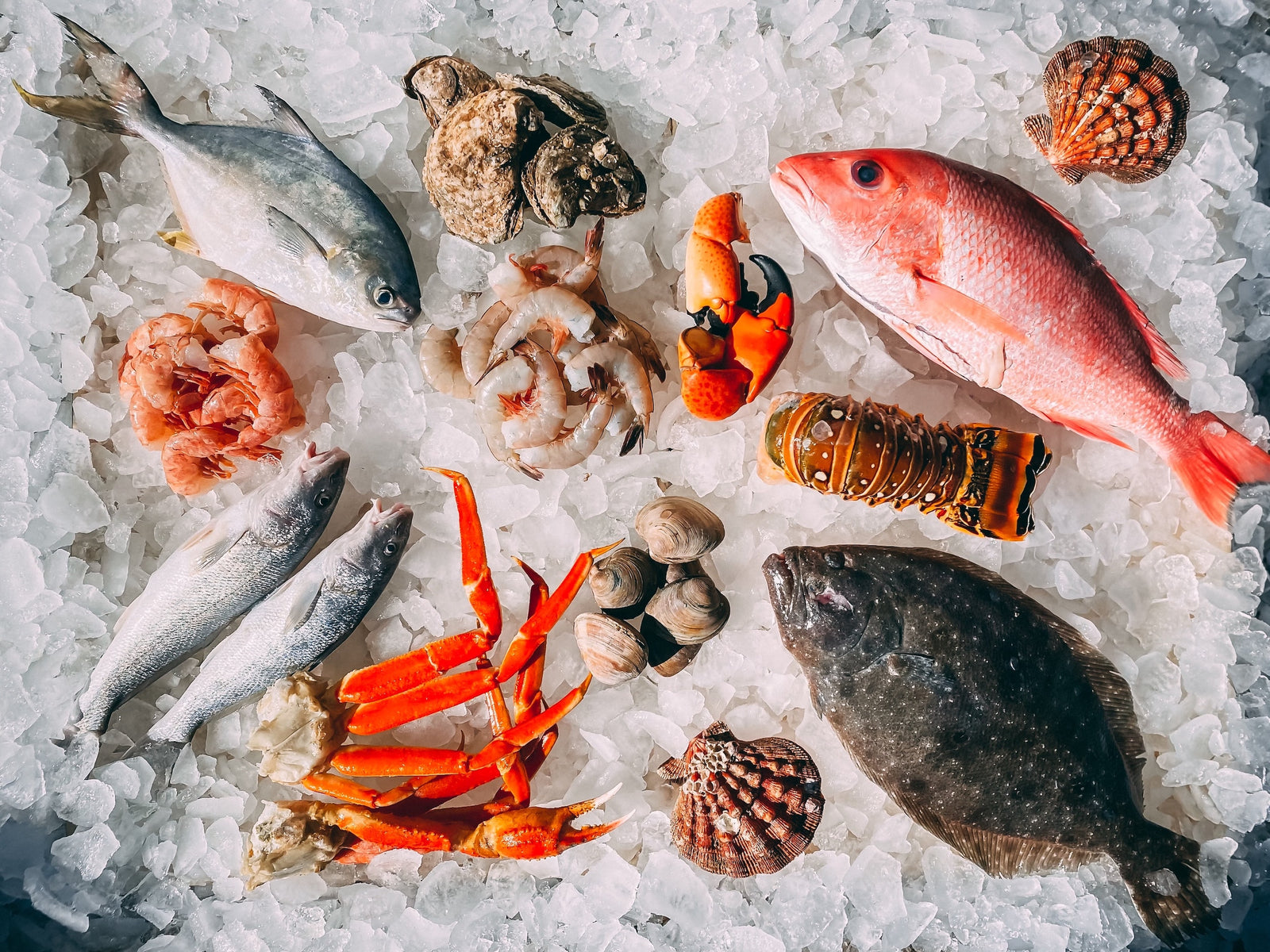 Zinc In Food: 5 Ways To Get More Zinc In Your Diet