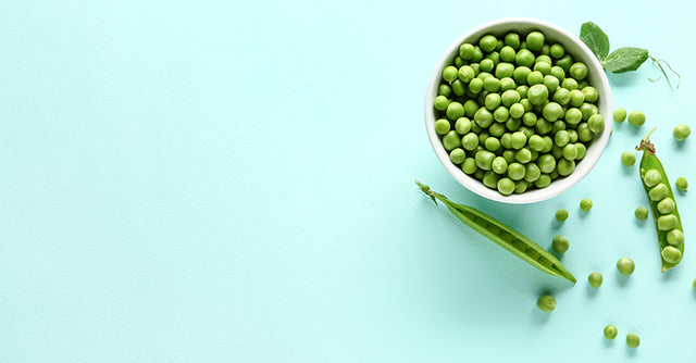 best plant based protein