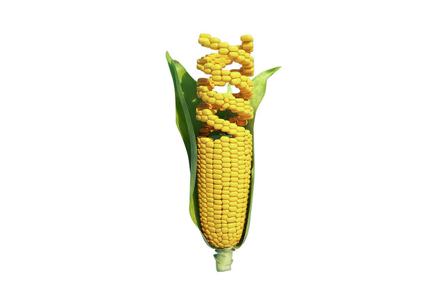 highly branched cyclic dextrin