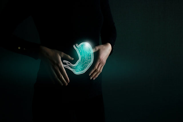 What Are Digestive Enzymes And Why Do You Need Them?