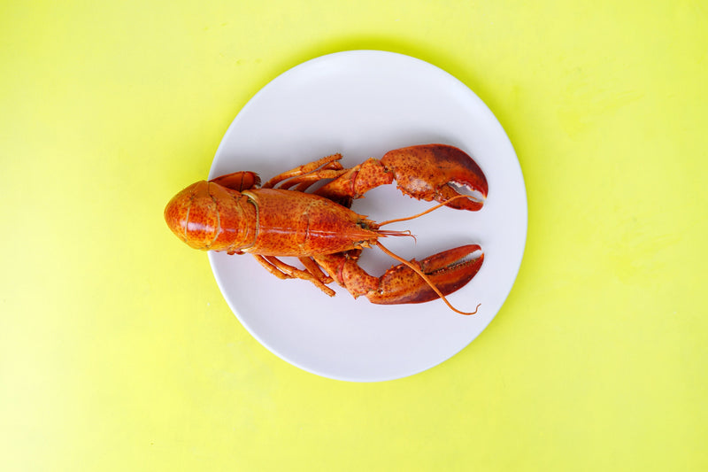 5 Protein Packed Seafood Choices You Need In Your Diet