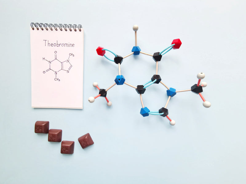 Theobromine: Benefits, Uses, Side Effects