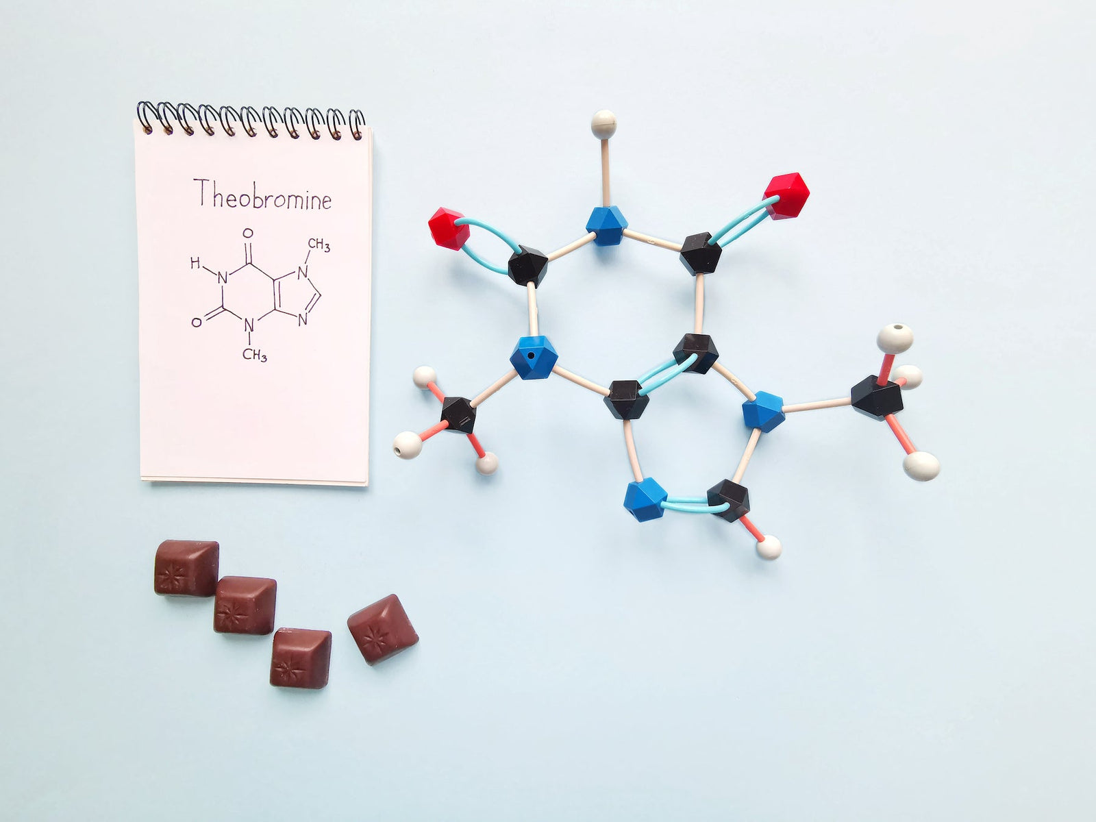The Complete Guide to Theobromine: How It Works, Benefits, and Potential Effects