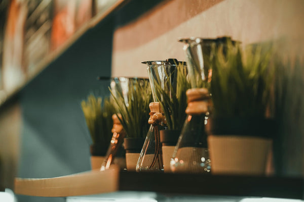 Unlocking Nature’s Superfood: 5 Incredible Benefits of Wheatgrass for Your Health
